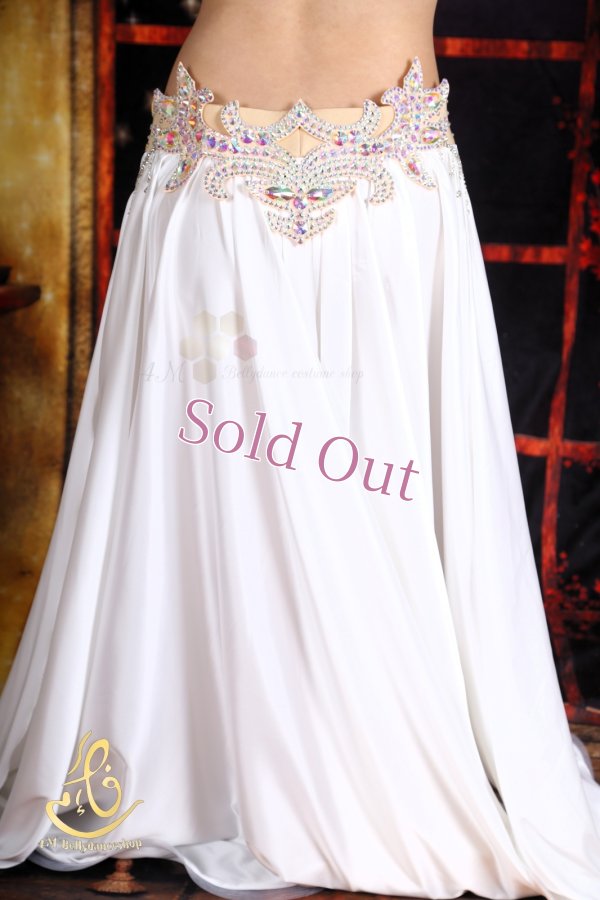 画像12: オリエンタル衣装　No,20