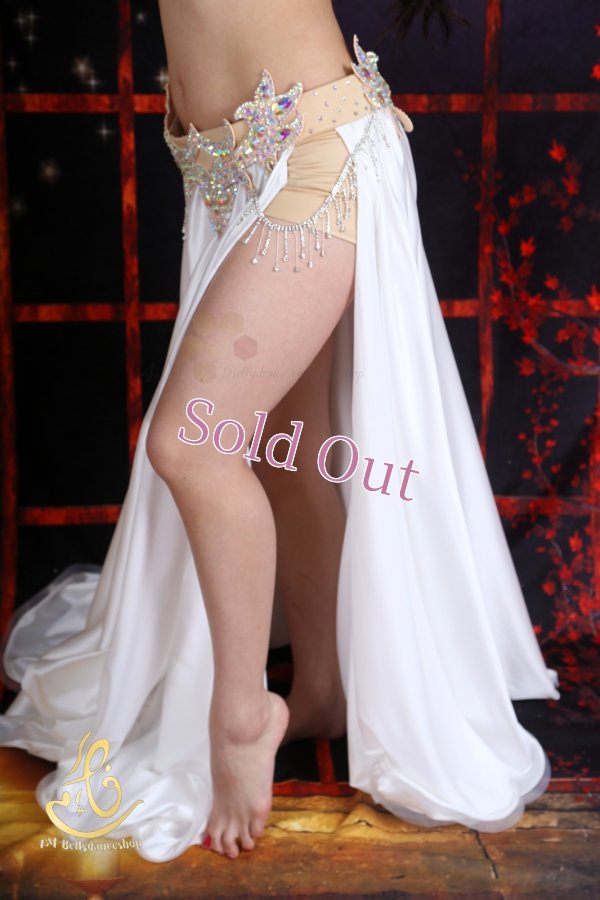 画像9: オリエンタル衣装　No,20