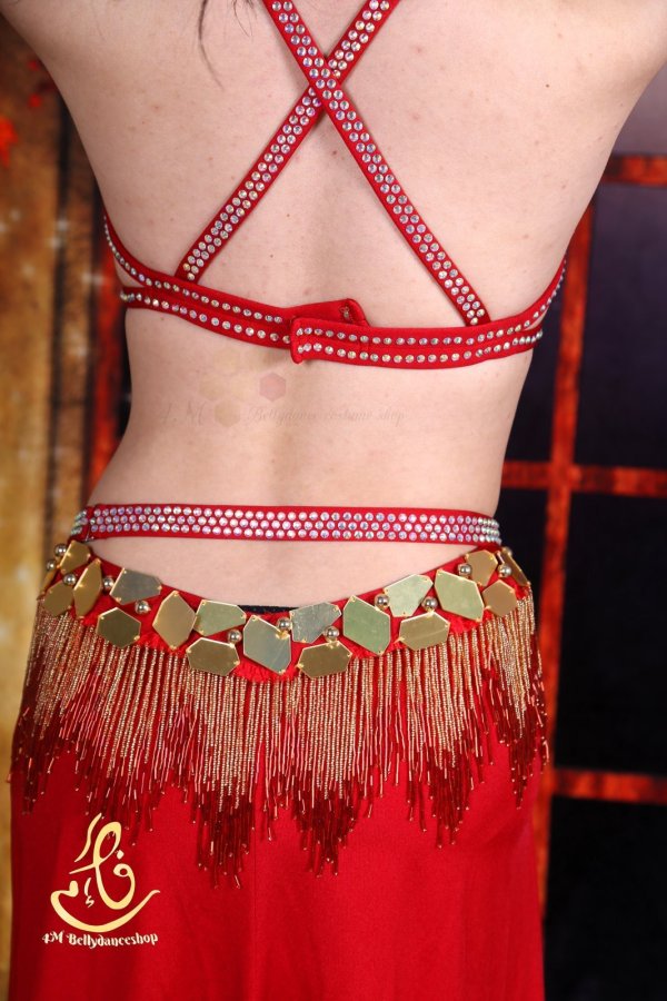 画像11: オリエンタル衣装　No,25