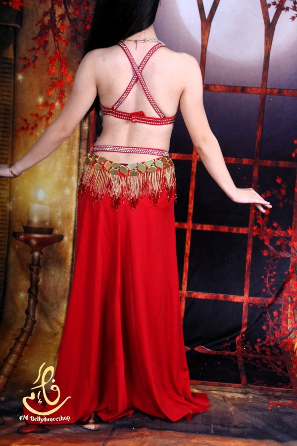 画像8: オリエンタル衣装　No,25