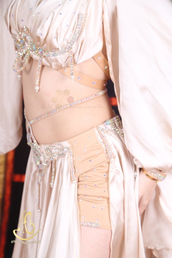 画像10: オリエンタル衣装 No,40