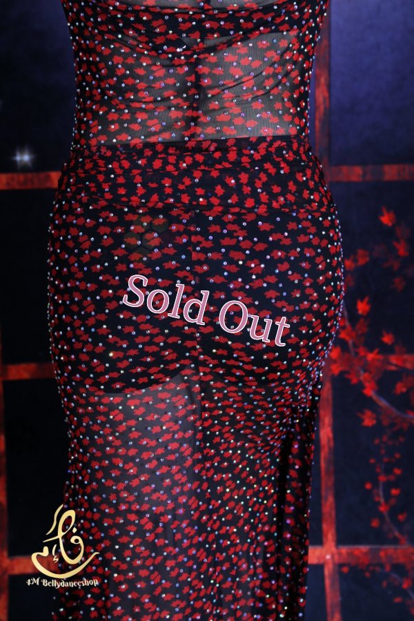 画像8: バラディNo,365