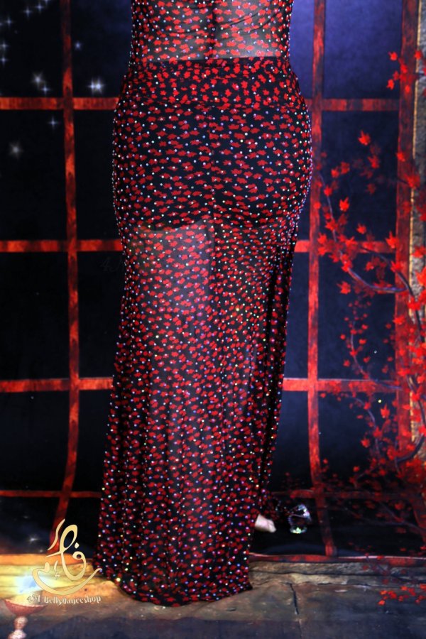 画像7: バラディNo,365