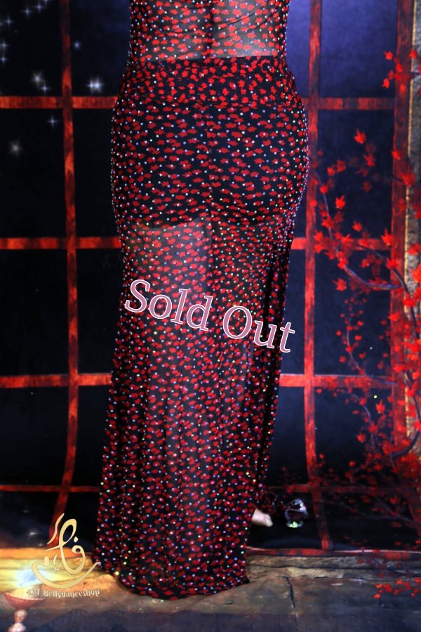 画像7: バラディNo,365