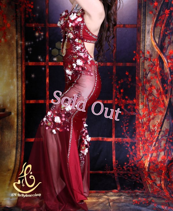 画像5: Mamdoouh Salama  No,3