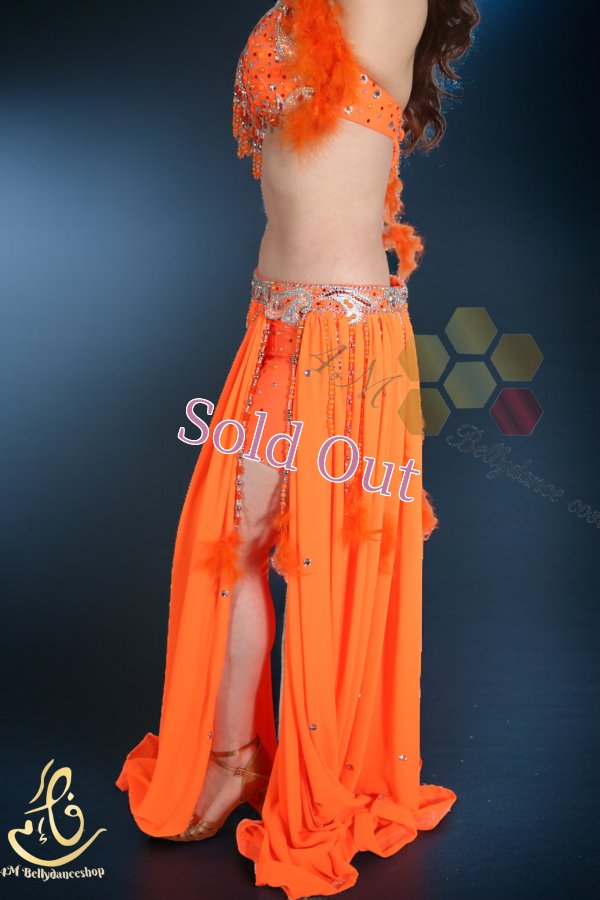 画像9: Fotona Okasha No,14