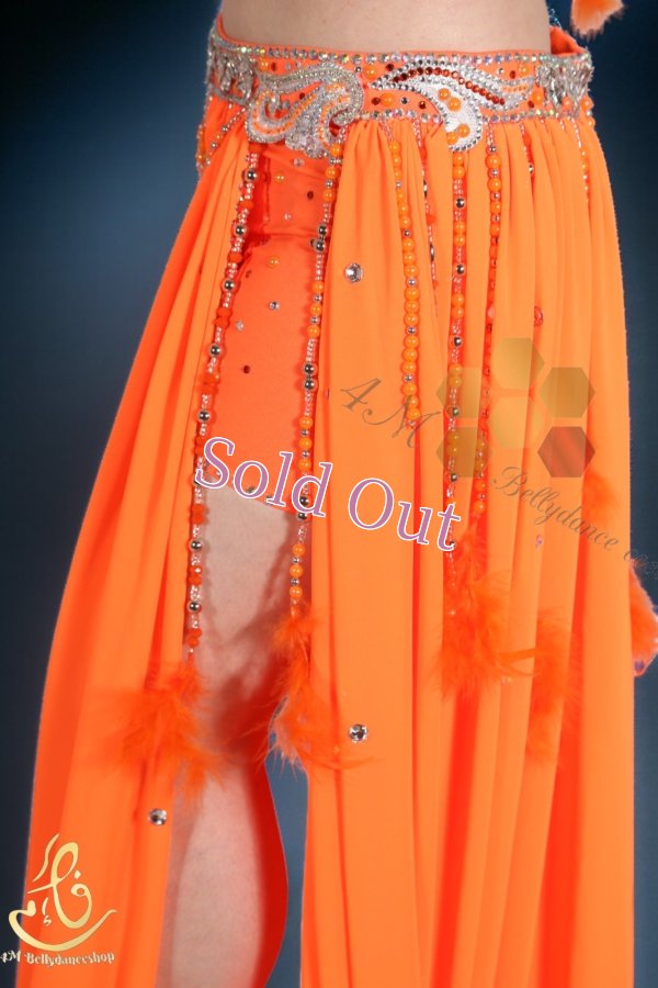 画像10: Fotona Okasha No,14