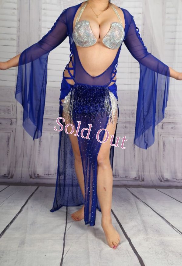 画像1: バラディNo,284