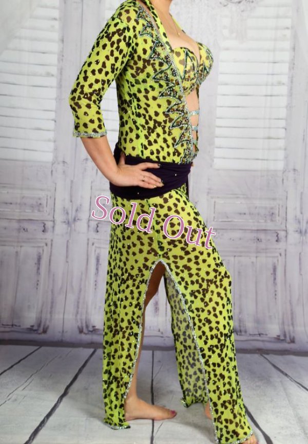 画像4: バラディNo,282