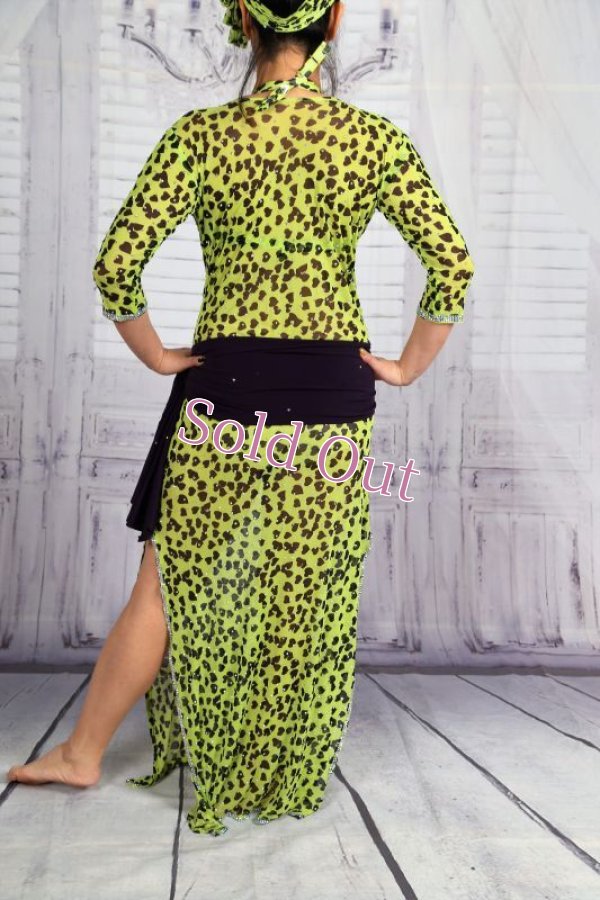 画像5: バラディNo,282