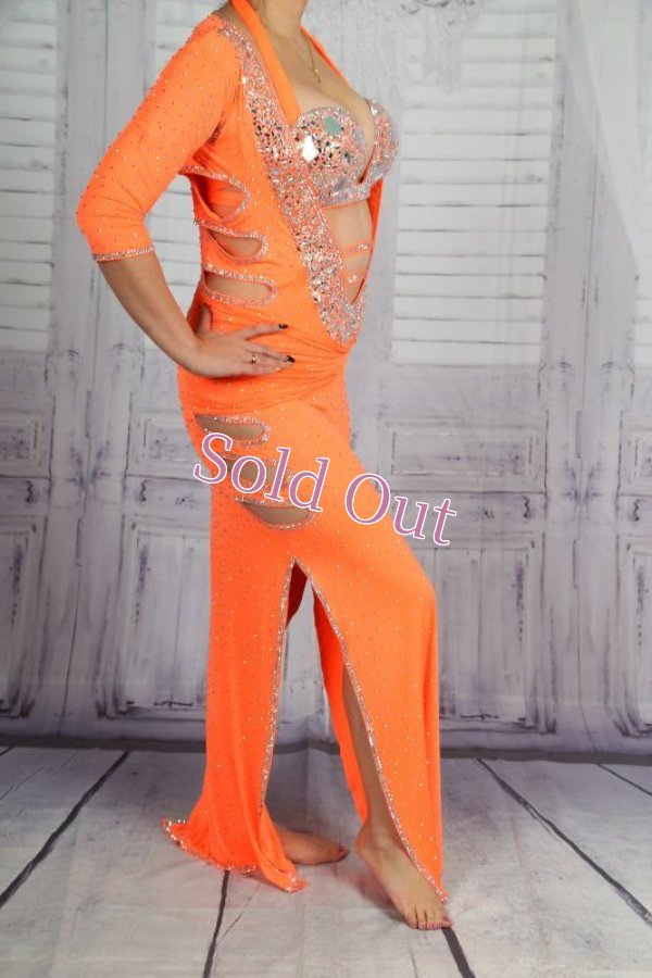 画像4: バラディNo,279