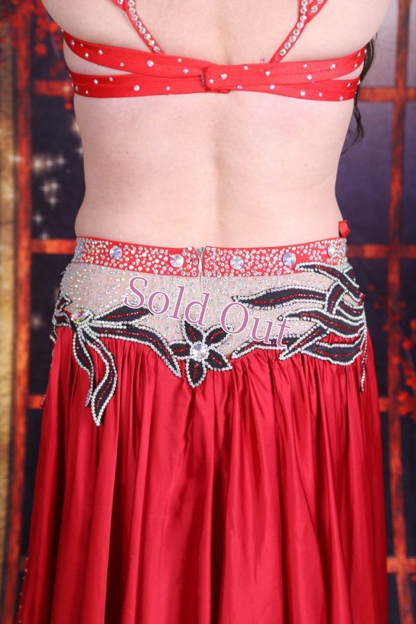 画像12: Camelia No,6