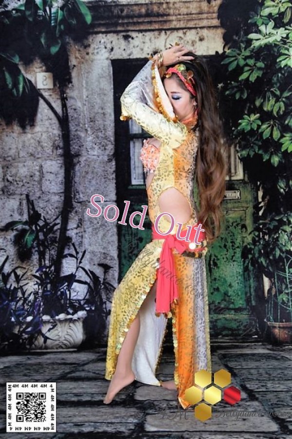 画像7: サイディ