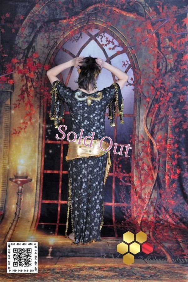 画像4: サイディドレス（3点セット