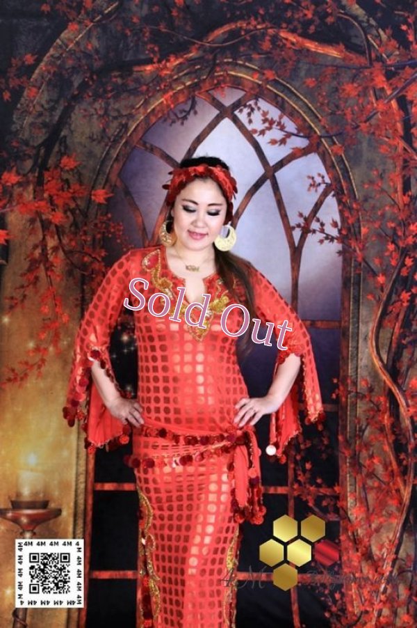 画像2: サイディドレス（3点セット