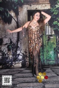 Mamdoouh Salama  No,45