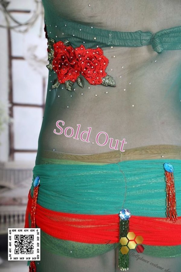 画像6: バラディNo,222