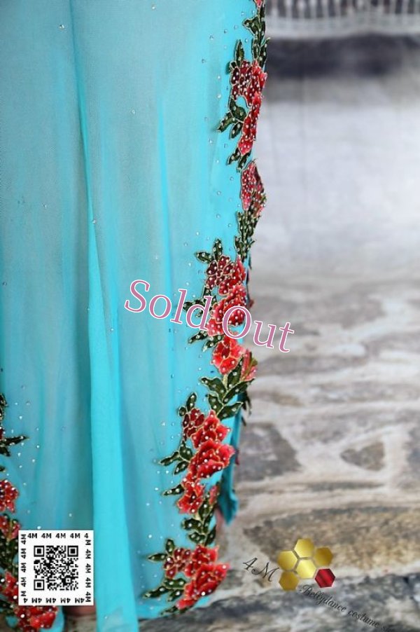 画像11: バラディNo,225