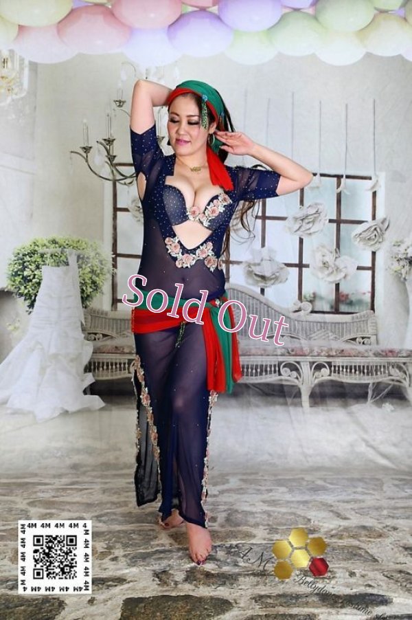 画像1: バラディNo,10