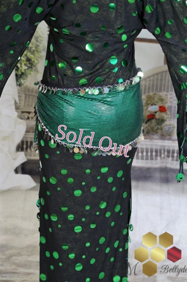 画像6: サイディ 