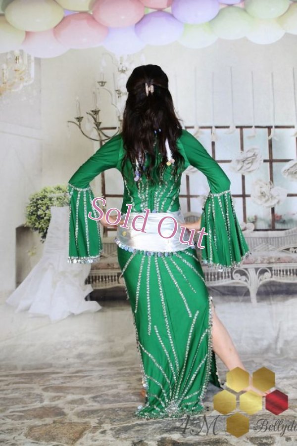 画像9: サイディ 