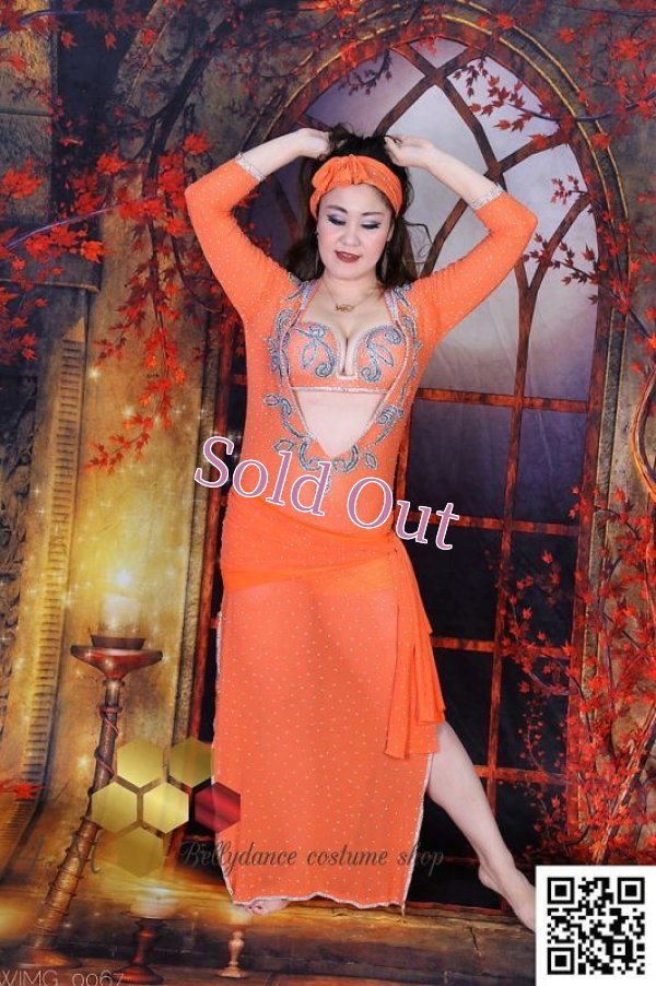 画像1: バラディNo,241