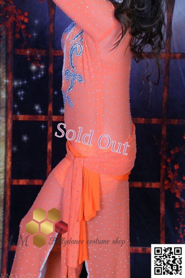 画像6: バラディNo,241