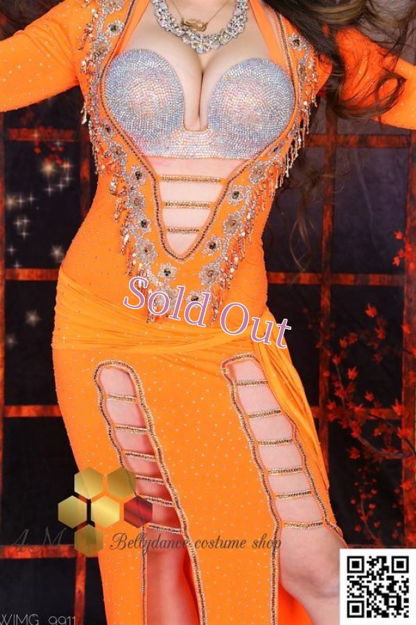 画像6: バラディNo,239