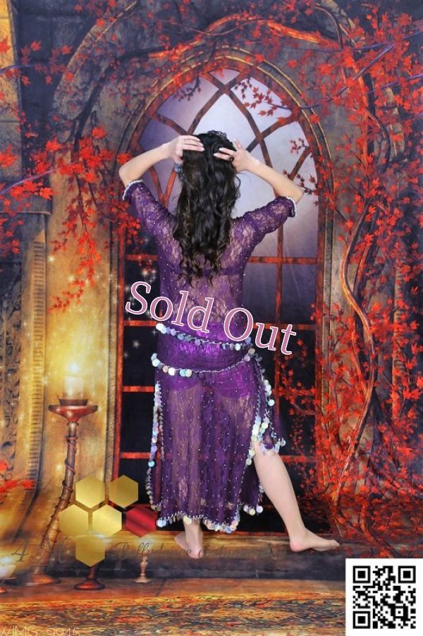 画像6: バラディNo,243