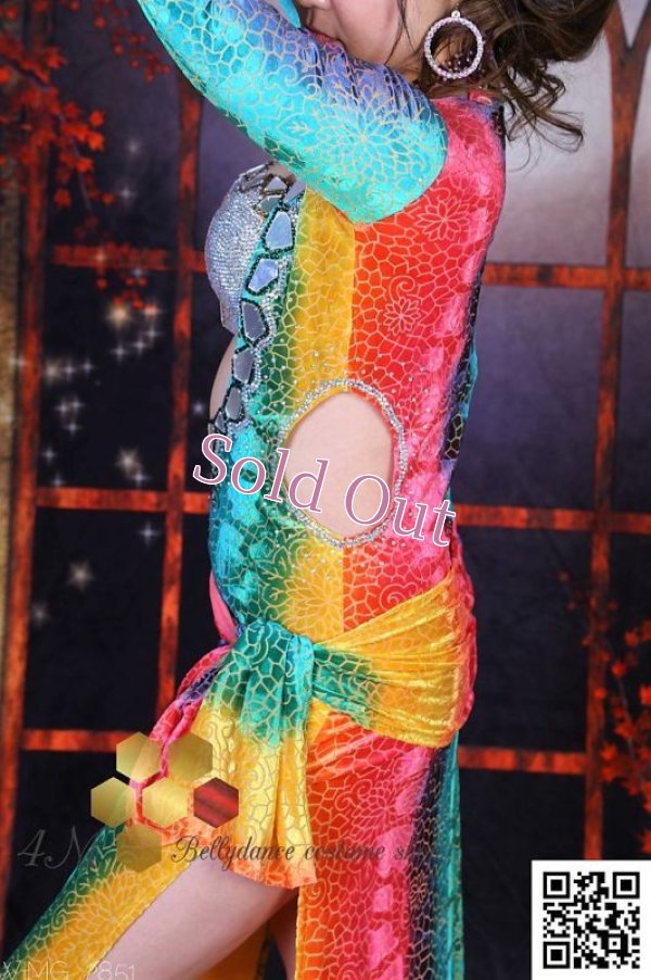 画像7: バラディNo,249