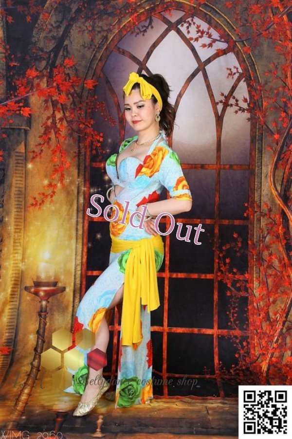 画像6: バラディNo,255