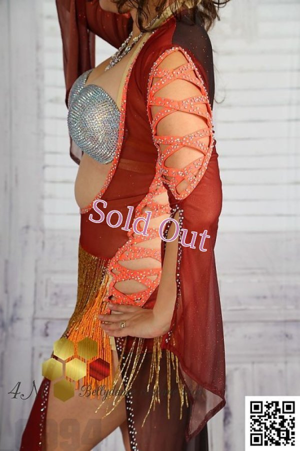 画像6: バラディNo,258