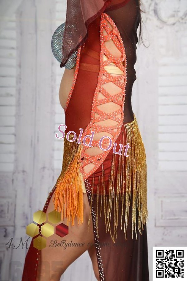 画像7: バラディNo,258