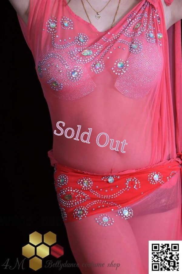 画像8: バラディNo,293