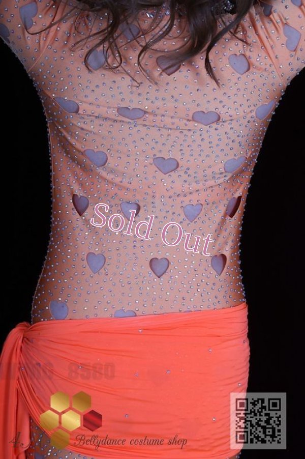 画像6: バラディNo,313