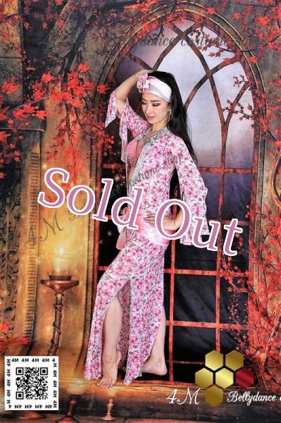 画像8: バラディNo,107 (8)