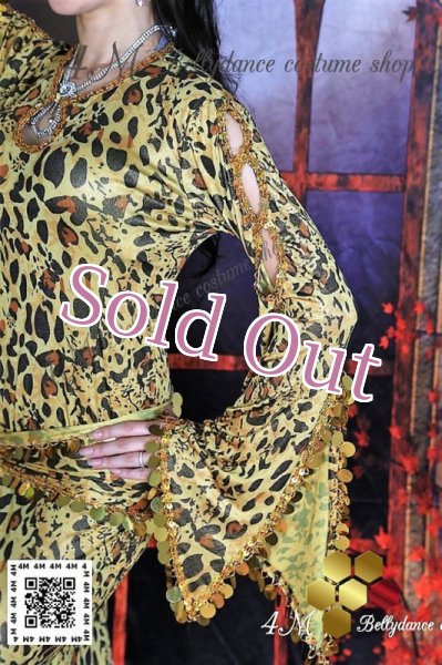 画像4: Saidi(サイディ) 70 (4)