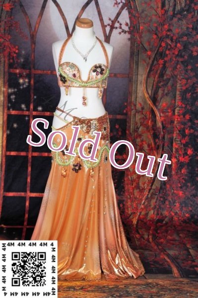 画像2: AbeerMohmoud（アビールマフムード） No,5 (2)