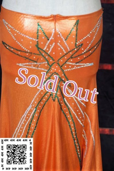 画像8: EgyptCostume（エジプトコスチューム）No,6 (8)