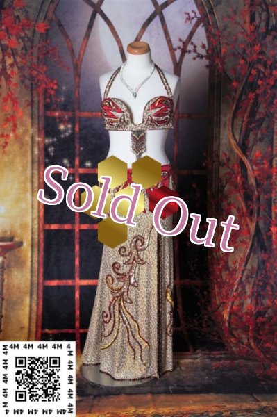 画像2: AbeerMohmoud（アビールマフムード） No,17 (2)