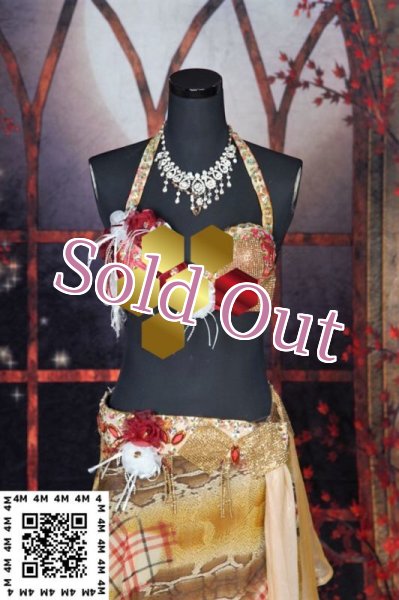 画像3: EgyptCostume（エジプトコスチューム）No,3 (3)