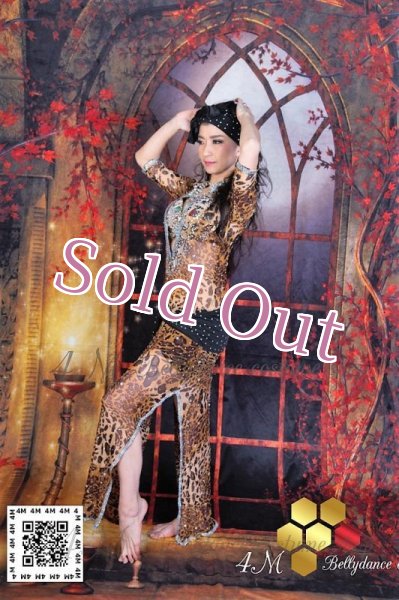 画像3: バラディNo,120 (3)