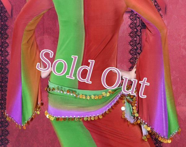 画像5: バラディNo,69 (5)