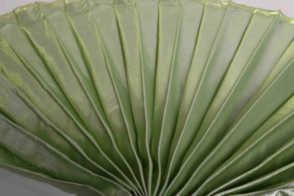 画像1: イシスウィング　ウグイス (1)