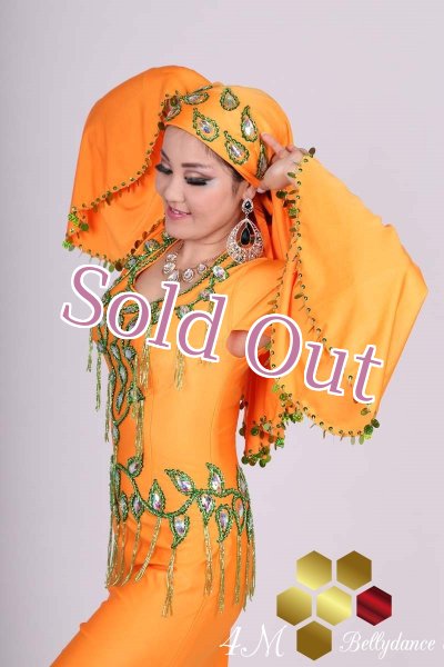 画像6: サイディ 9 (6)