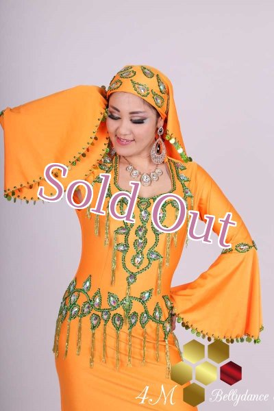 画像4: サイディ 9 (4)