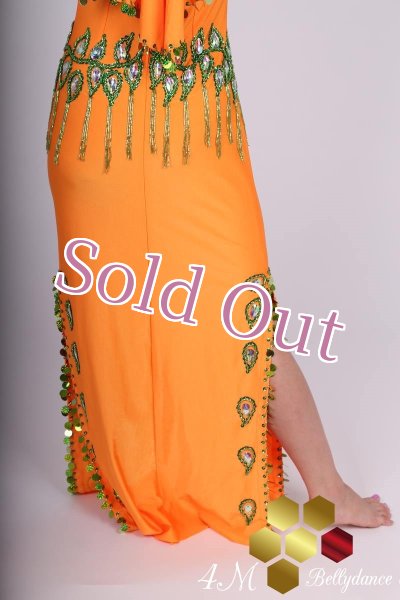 画像9: サイディ 9 (9)