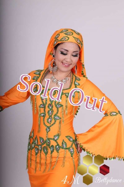 画像2: サイディ 9 (2)