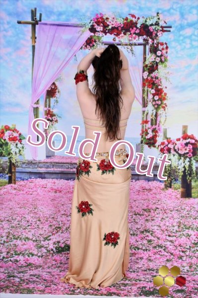 画像8: Aziza No,114 (8)