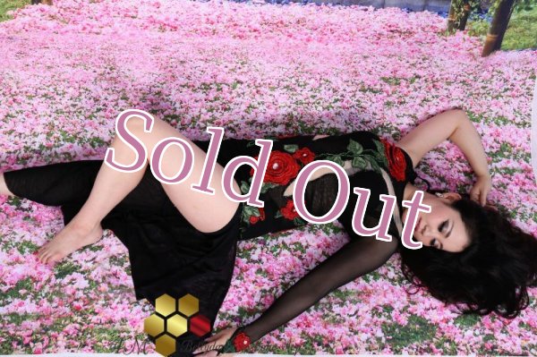 画像15: Emanzaki/Hodazaki  No,67 (15)